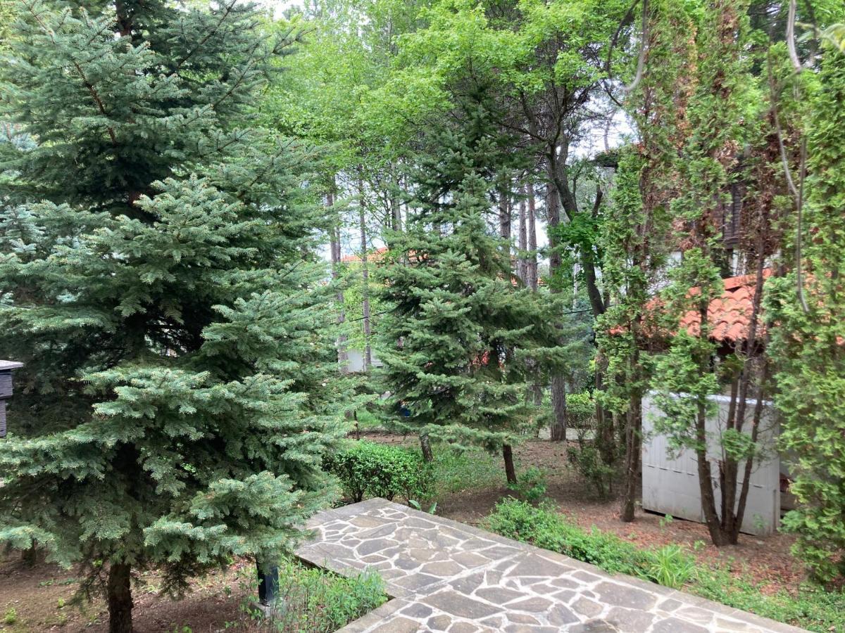 Lovely Apartment Santa Marina Szozopol Kültér fotó